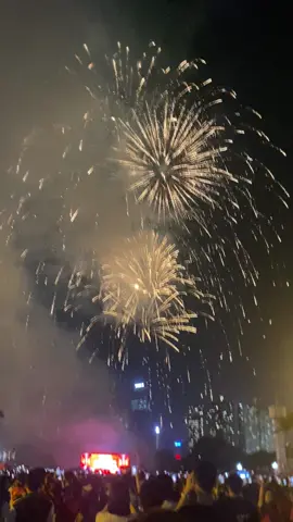 Pháo hoa Tết Độc Lập 2-9-2025 #phaohoa#A80 