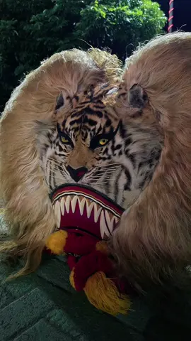 Ojo padang-padang , amargo sorotmu ora nyaman ning matane wong seng atine peteng  || MANIS  #barongan #reogponorogo #promo #4u #promo 