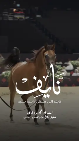 شيلة باسم نايف 2026 شيلة مدح نايف #استديو_نجوم_زفافي #لطلب_الشيلات_0505336824 #السعودية #الكويت #قطر  #تصميم_فيديوهات🎶🎤🎬تصميمي🔥 #تصميم_اسماء_حسب_الطلب #شيلة_باسم_نايف #شيلة_نايف #نايف 