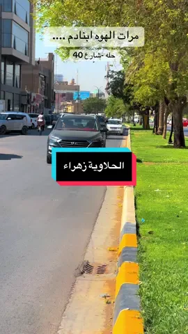#wutheringwaves #fyp #foryou #شعب_الصيني_ماله_حل😂😂 #tiktokviral 