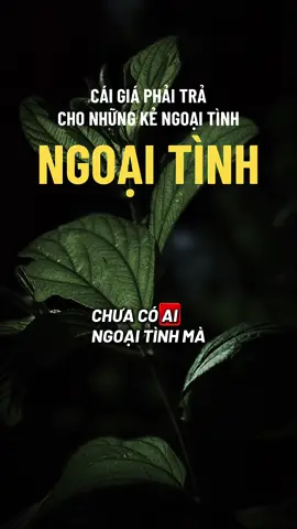Đàn ông - Phụ nữ đều có thể ngoại tình, cái kết xưa nay thường không tốt đẹp #ngộđểan #LearnOnTikTok #fyp #xuhuongtiktok #phatphapnhiemmau 
