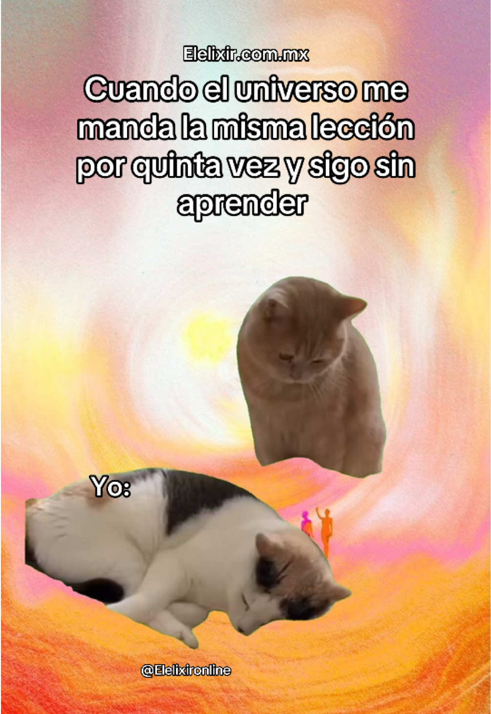 Jajjajaja ups  #fyp #tiktok #comedia #humor #tiktokviral #foryoupage #elelixir #viral #comediaholistica  #viralvideos #guiasespirituales  #CapCut #Duet #LearnOnTikTok #tiktokmusic #trending #explore #explorepage #memes #Love