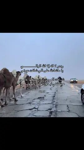 دعواتكم لجفران بالرحمه#جفران_المري #fyppppppppppppppppppppppp #fypage #بدون_موسيقى #عز_الشريف 