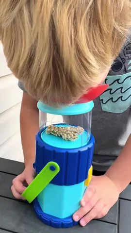 Perfect fall gift for littles! #educationalinsights #outdoorexploration #momlife #outdoortoys #preschool @Educational Insights 