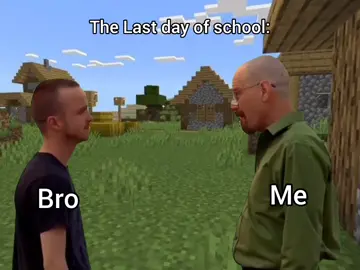 #fyp #meme #Minecraft #breakingbad 