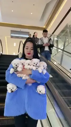 #UK #London #BritishCelebrities #RoyalFamily #PrinceHarry #MeghanMarkle #BritishCulture #Adele #EdSheeran #England #France #Paris #FrenchCelebrities #EiffelTower #FrenchStyle #FrenchMusic #Mbappe #Zidane #FrenchVibes #Russia #Moscow #Putin #RussianCulture #RussianMusic #SlavicBeauty #RussiaToday #EasternEurope #RussianStars #USA #Hollywood #AmericanCelebrities #TaylorSwift #SelenaGomez #JustinBieber #Beyonce #BillieEilish #ElonMusk #LosAngeles #nyc