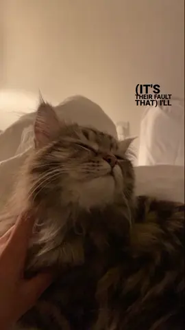 #lyrics #foryou #yckoimebskt #backburner #niki 