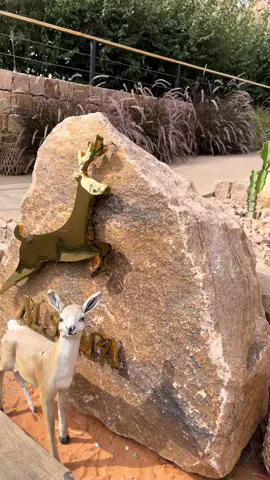 #اكسبلور #دكة غزال #الطائف 