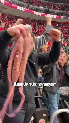 ทำไมแฟนฮอกกี้ถึงโยนหมึกยักษ์ลงสนามกัน?! #เล่าเรื่อง #ไม่น่าเชื่อ #funny #viralvideo 