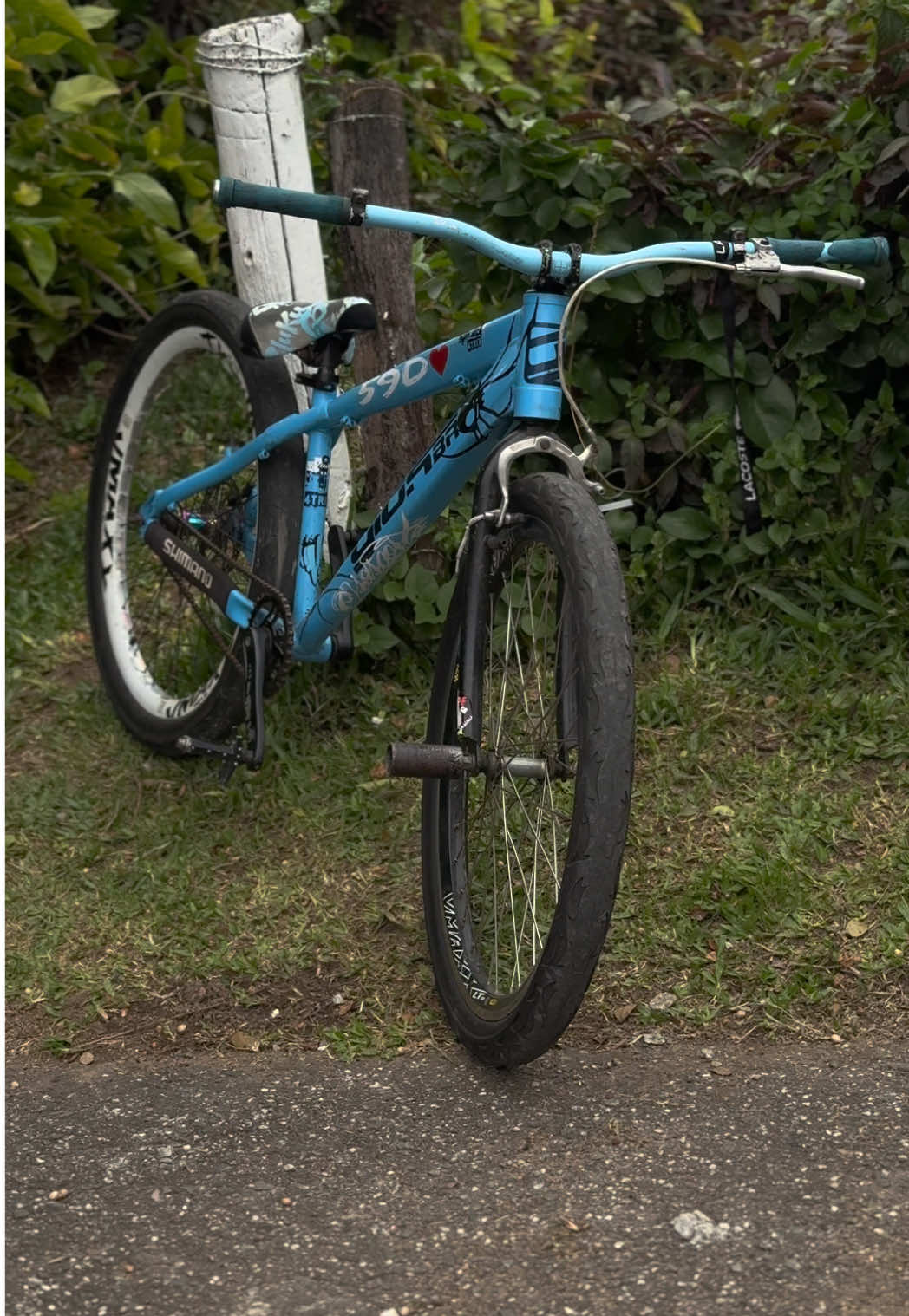 Segue aí #foryou #flyyyyyyyyyyyyy #bike 