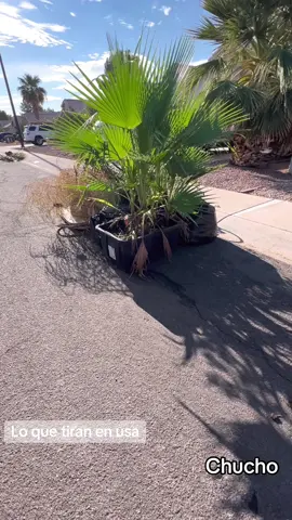 Como pudieron botar esto 😱😱😱