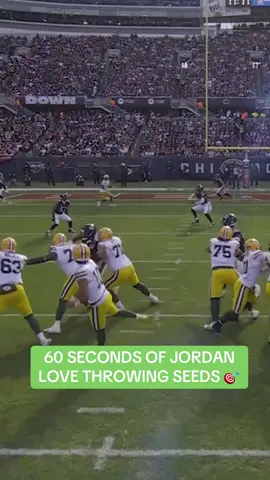 unlimited arm talent 🎯 #nfl #jordanlove #greenbay #packers 