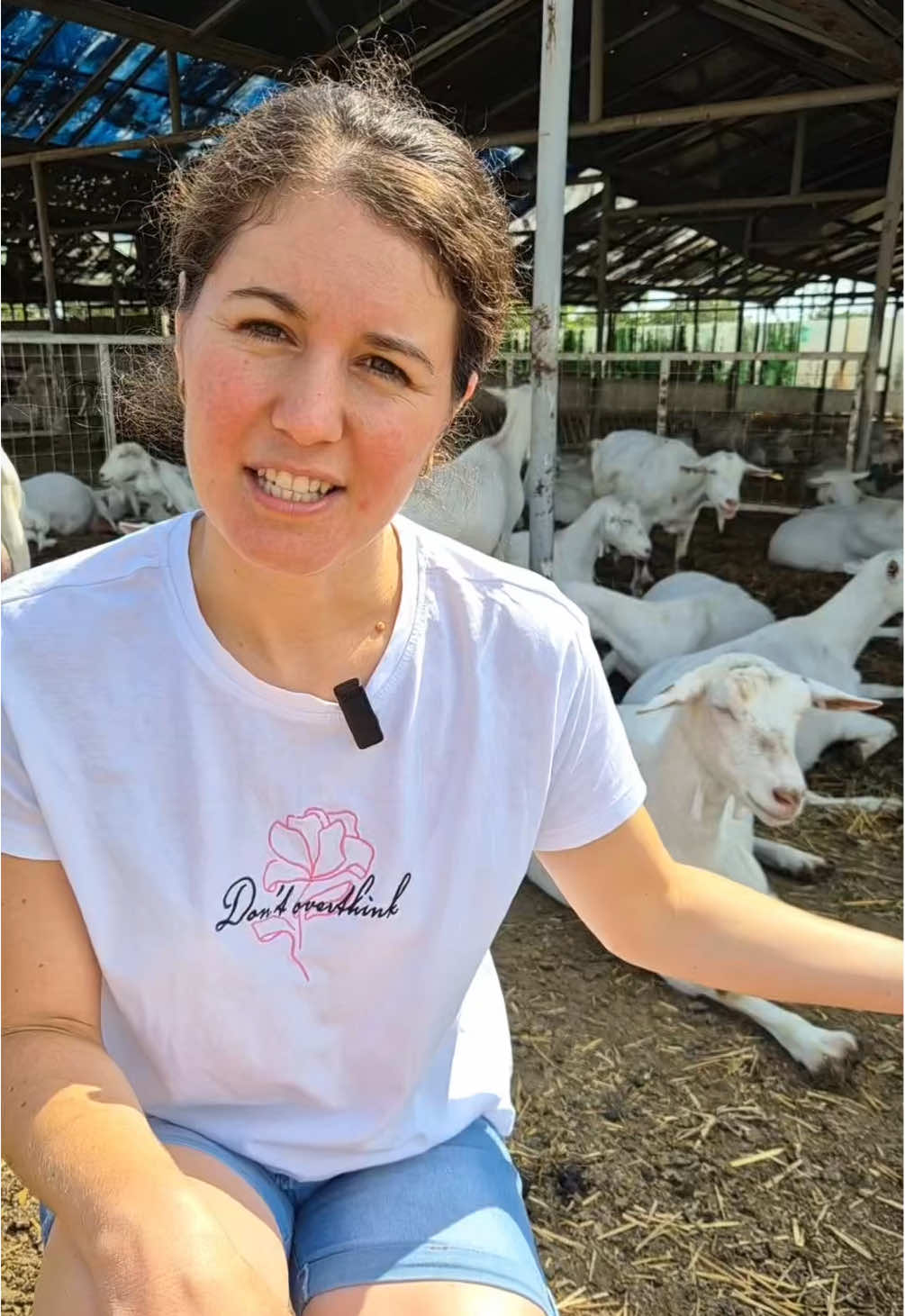 #puidedrag #fermalactate #lactatecapra #fyp 