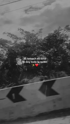 Literal#####Eltemach###Mipelon😎😎😎😎❤️