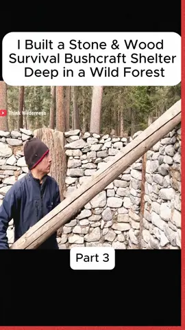Part 3 #survival #bushcraft #camping #bushcraftsurvival #solocamping #usa #Outdoors #usaviral #building #cabin #build 