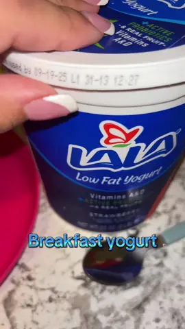 Day after LABOR DAY. My 4 year olds Breakfast & Lunch 💜 #lunchideas #toddlersoftiktok #autism #kidtok 