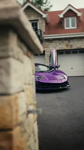 The Viola Pasifae SVJ #lamborghini #svj 