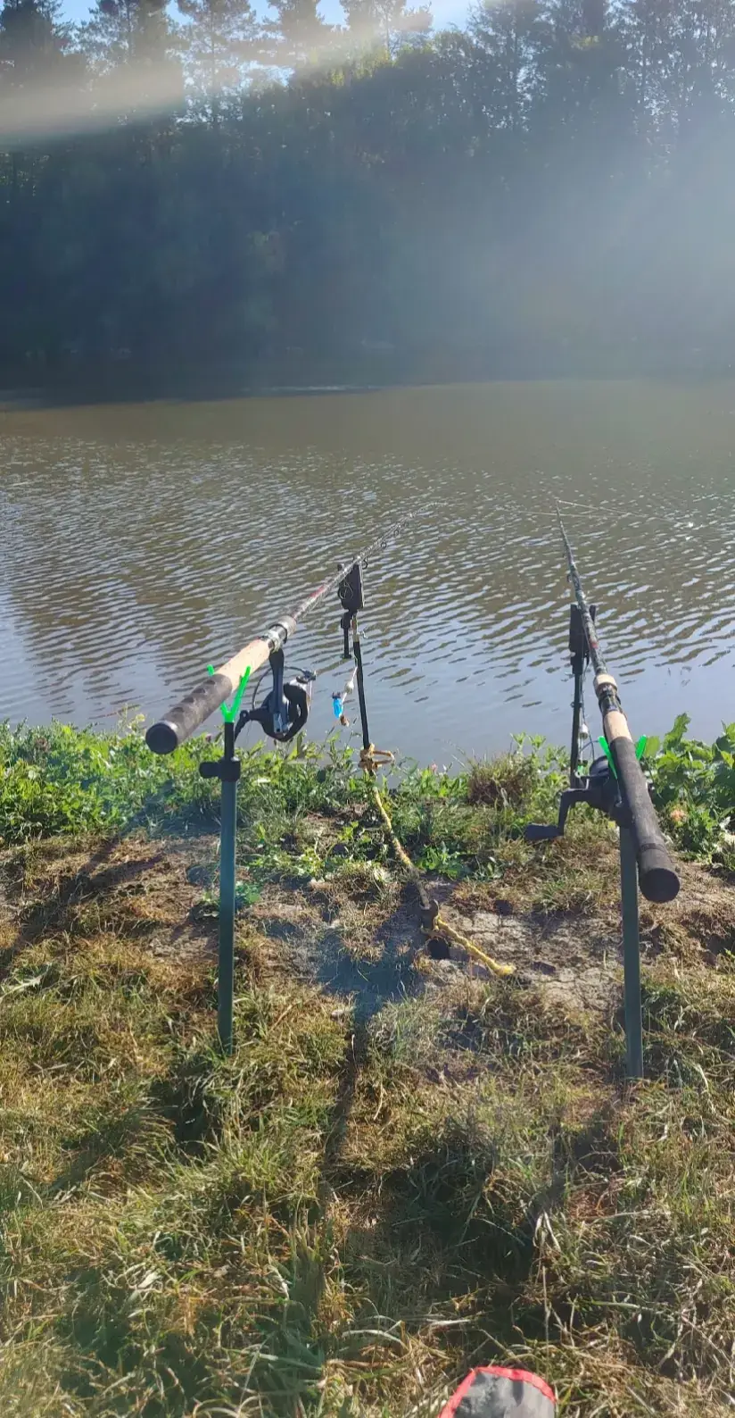 #foryou #foryoupagе #seby19 #feeder #pescuitlafeeder 