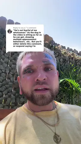 Replying to @coy ༊·˚ Proving a little more clarity on the difference between appeasement behaviors surrounding a dog’s trigger and a dog being afraid of someone. Dogs who have lunged at someone over their triggers are clearly uncomfortable. Once those advancements of aggression are physically corrected in a way that stops a dog from practicing those behaviors, the discomfort around that trigger is not yet resolved. There is more work to do to counter condition and desensitize a dog to the triggers that made them uncomfortable in the first place. Do you really think that everytime a dog corrects another dog, that those dogs are now fearful of any dog that ever corrected them? Or are they learning what is and is not acceptable? Dogs naturally learn through corrections.  