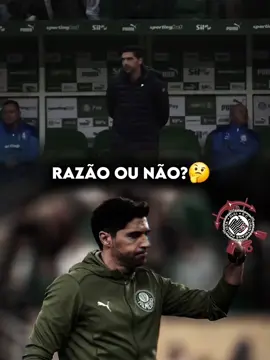 Será que o Abel tem razão? #sepvibes #palmeiras #abelferreira #futebolbrasileiro 