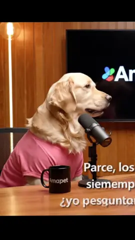 Preguntas obvias de humanos a perros #goldenretriever #pitbull #podcastamapet 