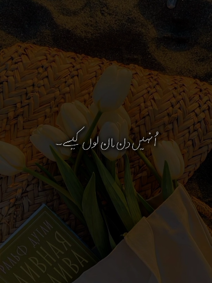 din man lon kese#song #2millionviews #fyp #creatorsearchinsights #trending 
