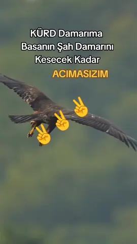 #keşfetbeniöneçıkat #keşfetbeniöneçıkat #keşfetbeniöneçıkat 