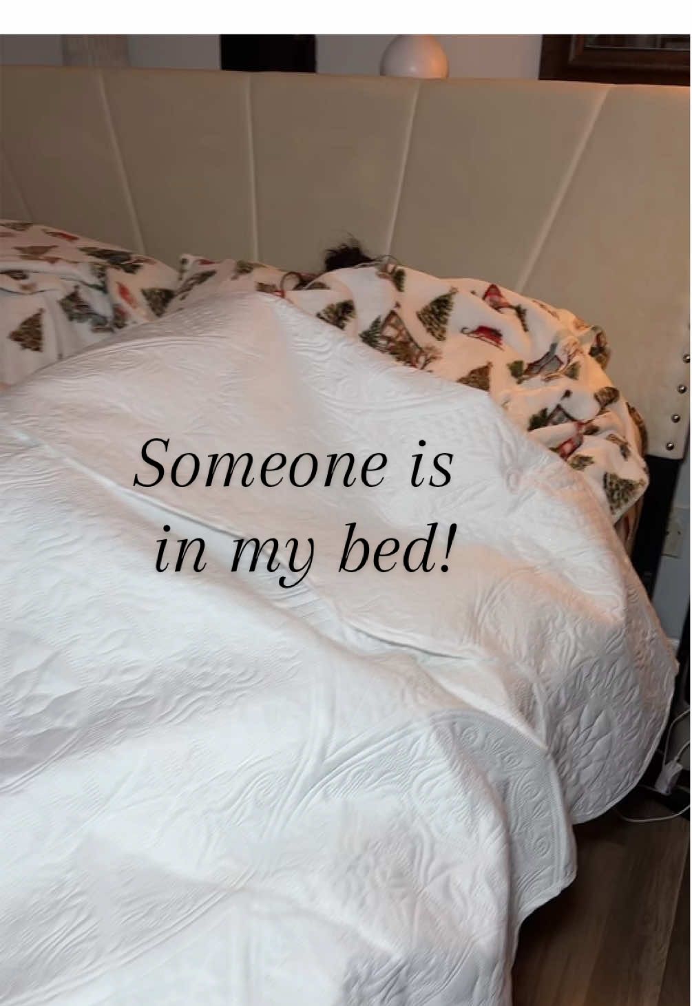 If you love, super soft sheets, you will 100% love these Christmas velvet, plush flannel sheets! #softsheets #christmassheets #flannelsheets #sheets 