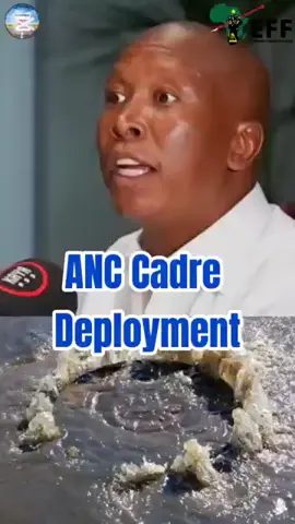 Julius Malema on ANC Cadre Deployment: Positions for Friends, Not for Skills #juliusmalema #southafrica #africa #foryou #goviral 