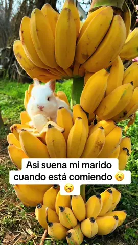 #CapCut 