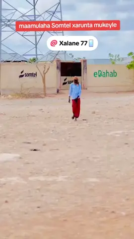 #Degmada mukeyle#hiraansomalia🌴💉💯❤️ #somalitiktok #viraltiktok #foryoupage @Xalane 77📱 @Boqorka Gajada 🔥🙌🇸🇴🦁 @N🕊🦋 @mk @abdifitahabdirashiid1 @Eng yaxye @GABAR HIIRAN🇪🇪🐪🌴🇸🇴 @Ⓜ️🅰️xamed dacad TV🇪🇪📷 @M.C.M @muse★ @nimco nafaqo😋👩🤎 