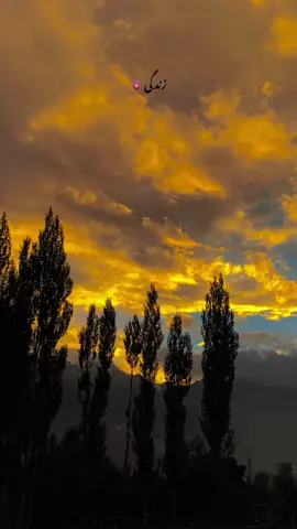 ‎خوابوں کی گلیوں میں خاموشیاں بستی ہیں۔ @𓄅 𝐍𝐎𝐑𝐓𝐇 𝐑𝐄𝐄𝐋𝐒 𓃵 