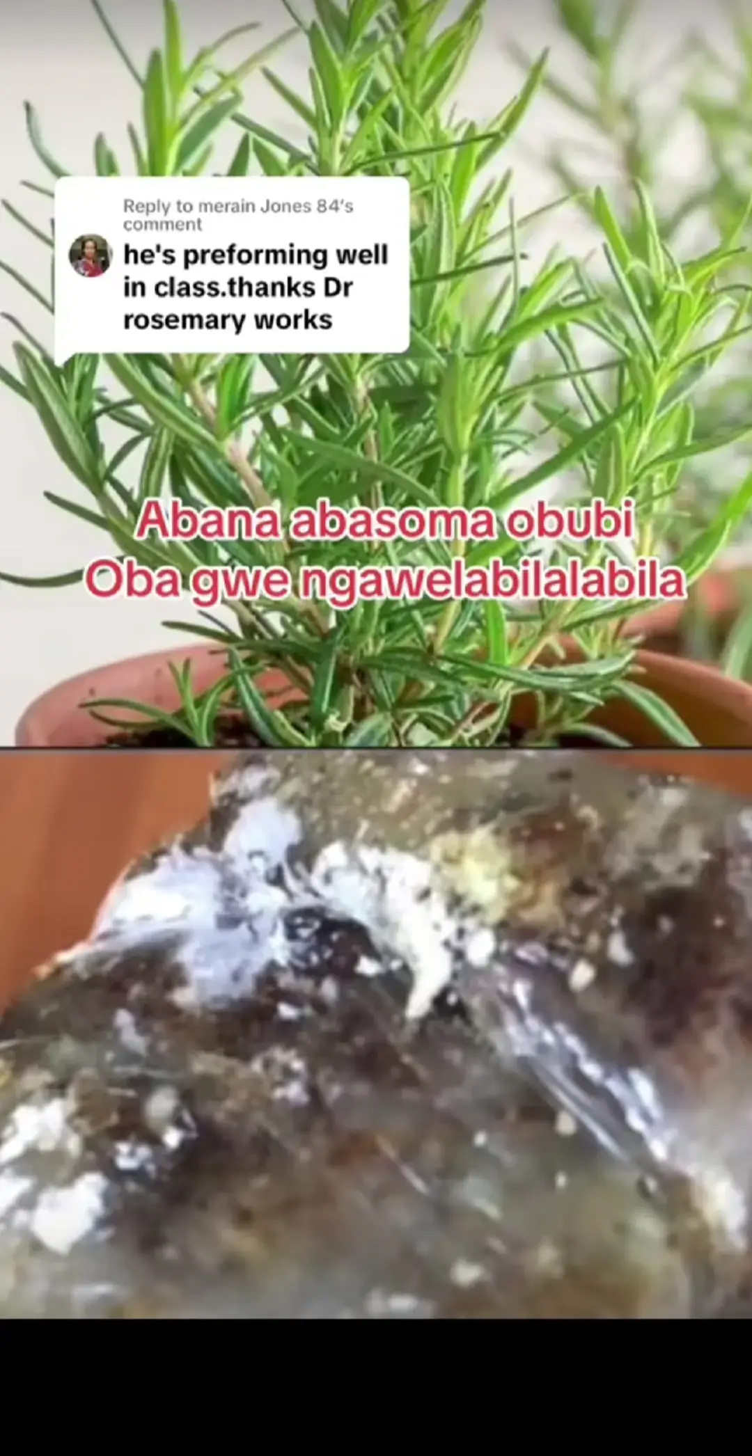 #drkimuli #trending #foryou 