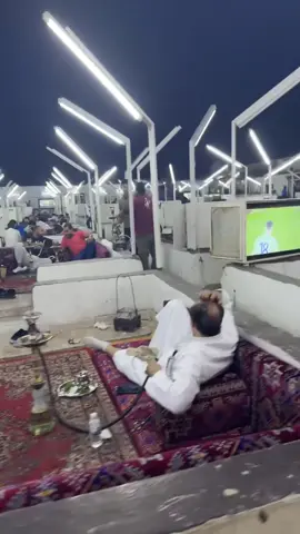 #bestview #naturevibes #desertsafari #fyp #saudia 