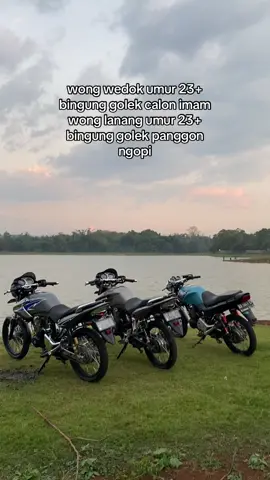 wes umume 😂#tigergank🚀 #fyp 