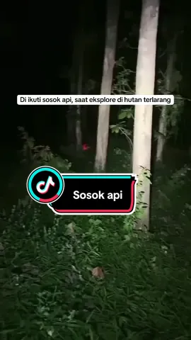 Kemunculan sosok api,saat Argani ekplore di hutan terlarang,hampir di kejar sosok hitam #livehoror #abandoned #ngeringerisedap #alaspurwo #hutanangker 