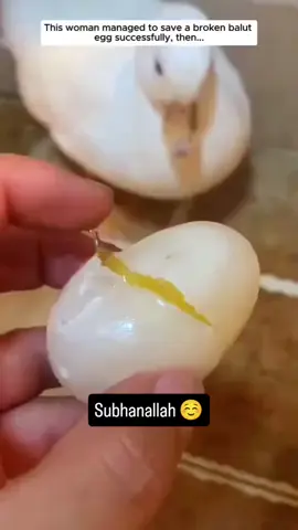 seberapa usahamu pasti akan membuahkan hasil 