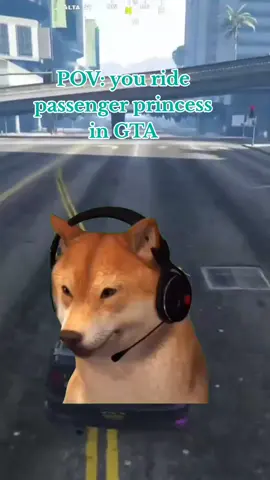 Raise your hand or send to your passenger princess. #gtaserver #gtaroleplay #gtarp #gta #northstarrp 