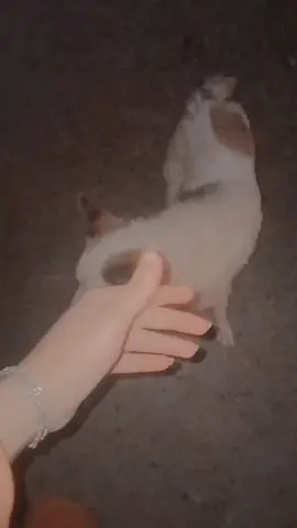 ،😂😂😂😂😂