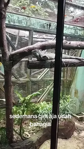 #ragunan 