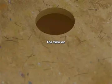 Creating great wal beneath the earth #tunnel #warfare #fyp 