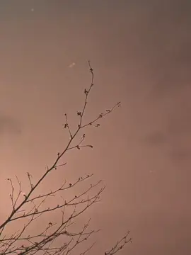 Wait for Blast !💐 / Eka mohothak enna soya ! @Ushain_nirodh🇱🇰  #fyppp #fyppp #dropmusic #sinhala #sinhala #foryourpage #onemillionaudition #