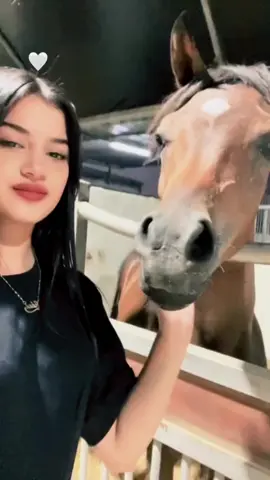 #خيل_وخياله🐎 #شاءالله_تبارك_الله🧿❤️ #عرب48فلسطين #وصلوني100k 