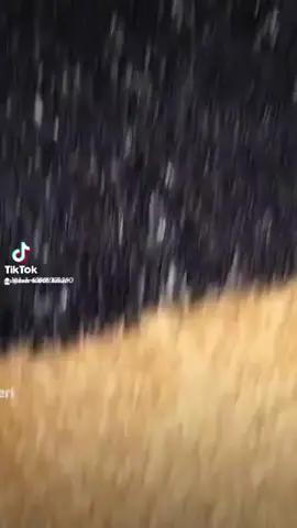 قران كريم ##هتقلب عشان القران ###