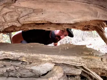 I share my process of building a natural warm shelter #survival #Outdoors #camping #viral #travel 