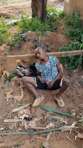 Another talented mosquito