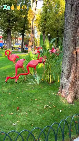 #лето #харьков #україна #паркцентральный 