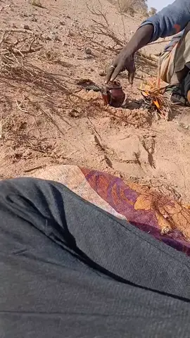 تيرس زمور✌✌❤️‍🔥