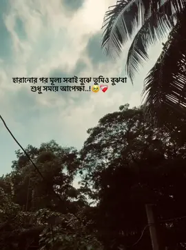 হারানোর পর মূল্য সবাই বুঝে তুমিও বুঝবা শুধু সময়ে আপেক্ষা..!🥹❤️‍🩹#foryou #tiktok #fyp #trending 
