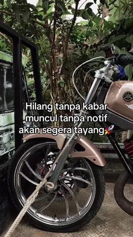 #rxking #2t 
